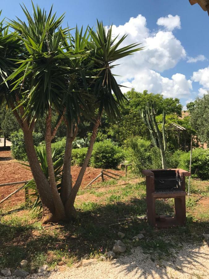 Vila I Giardini Di San Vito San Vito Lo Capo Exteriér fotografie